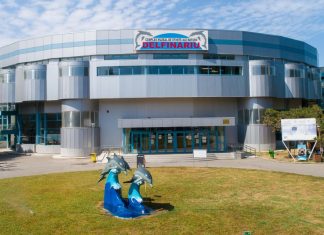Delfinariul Din Constanta – Atractia Principala de la Malul Marii