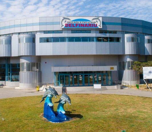 Delfinariul Din Constanta – Atractia Principala de la Malul Marii