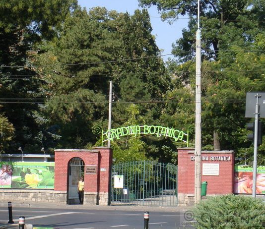 Gradina Botanica din Bucuresti si alte Gradini Botanice din Tara