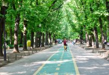 Cele mai frumoase parcuri verzi din Bucuresti pentru familii cu copii (pe sectoare)