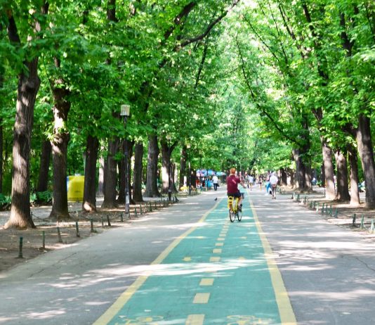 Cele mai frumoase parcuri verzi din Bucuresti pentru familii cu copii (pe sectoare)