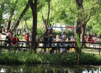 15 activități distractive pentru copii în jurul Timișoarei