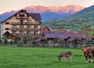 22 de excursii de neuitat pentru familii lângă Brașov