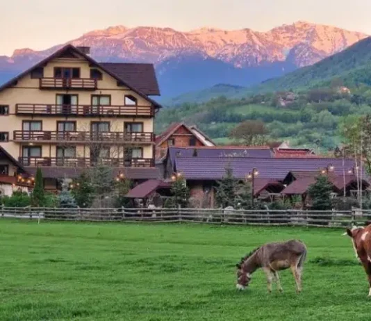 22 de excursii de neuitat pentru familii lângă Brașov