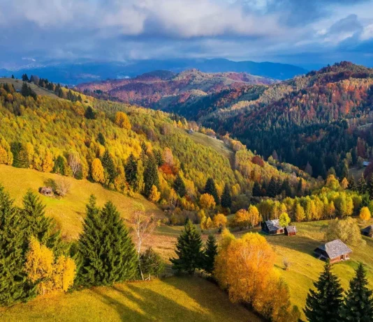 22 de excursii de neuitat pentru familii lângă Brașov