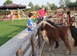 9 ferme din jurul Bucureștiului pe care copiii le vor adora