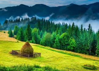 Peste 20 de locuri de vizitat în Bucovina alături de copii