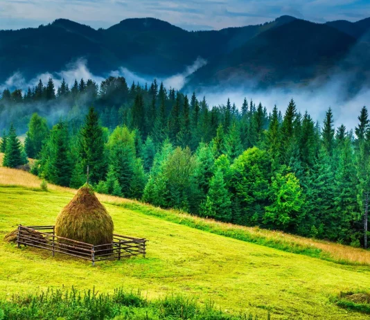 Peste 20 de locuri de vizitat în Bucovina alături de copii