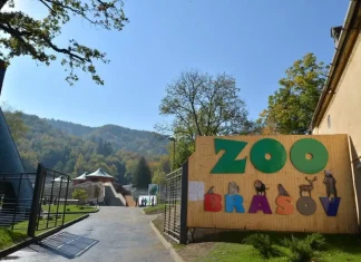 Explorați Zoo și Planetariul din Brașov în familie
