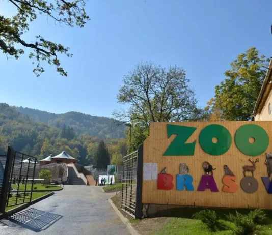 Explorați Zoo și Planetariul din Brașov în familie