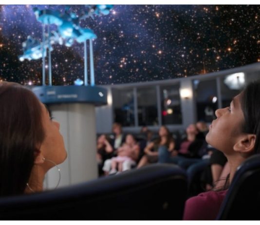 Explorați Zoo și Planetariul din Brașov în familie